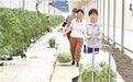 农村自来水普及率全省第一！景德镇绘就乡村振兴生动答卷