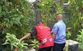 西乡网格员“火眼金睛”	铲除私种烟草40株