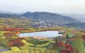 链上增值 抱团兴村 青年扎根 宁波沃野铺展共富新画卷