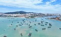 山东正式解除休渔期，鱼虾蟹类求购量大，海鲜电商：有多少收多少，不愁卖