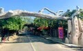 一颗匠心，四十年创新求索——大泽山葡萄产业40载科技赋能与品种迭代之路