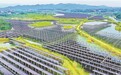 湖口县：渔光互补（图）