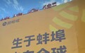 蜜雪冰城在蚌埠开安徽最大旗舰店，本土品牌甜啦啦隔街应战