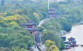 秋染栾树 宋城如画（图）