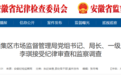 安徽省纪委监委通报：李琪，主动投案！