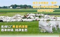 2026年奶粉排名前十名有哪些品牌？奶源配方品控深度解析