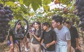 资溪县：技能培训（图）