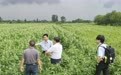 京鲁老字号携手深耕无棣沃土 特色产业赋能乡村全面振兴