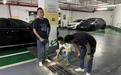 抓实消杀整改 筑牢健康防线——畔山美地嘉园召开灭蚊消杀专项工作会议