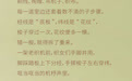 菏泽鲁锦——经纬织就锦绣华章