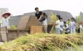 江西新余：秋收实践伴成长（图）