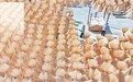 会昌县：助农增收（图）