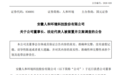 安徽一公司董事长被实施留置并立案调查！