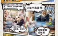 东莞平安人寿：金融反诈漫画系列｜消保三十六计·败战计