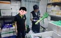 严防“染色菜”上桌 中山西区开展莴笋流通环节专项检查