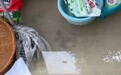 合肥一小区物业疏通楼顶积水，倒灌业主家中