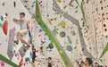 南昌：练攀岩 健体魄（图）