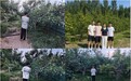 青春助农：新疆科技学院学子为库尔勒香梨开拓深加工新路径