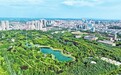 洛阳市孟津城区：城市街头绿意不断延伸