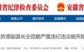 廉洁底线失守！安徽2名干部被“双开”