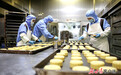 甘肃张掖：中秋临近月饼生产忙