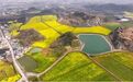 全国第三批矿区生态修复典型案例发布，江西2个案例入选