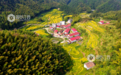 乐安县：山村秋色（图）