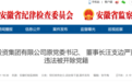蚌埠、亳州、淮南、滁州、六安6人被通报！