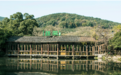 绿茶集团：供应链打底，海内外双向布局，探索连锁餐饮发展新路径