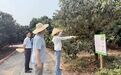 陵水支行：用好再贷款“活水” 浇灌本土民营经济