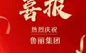 鲁丽集团上榜2026全国民营企业“研发投入500家”