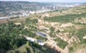 甘肃泾川“牧猪于幽山”：喝着山泉水　住进“避世林”