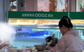 老乡鸡被曝滁州一门店有顾客带狗进入，疑似近距离接触餐具