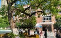 合肥市南国花园小学承办安徽省“国培计划（2026）”小学道德与法治领军教师跟岗研修活动