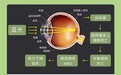 长时间作业用眼调研：写作业长时间用眼，哪款大路灯护眼效果更好？