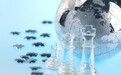 把握政策机遇、强化合规经营：熊猫环球电子商贸私人有限公司的稳健发展路径