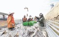 湖口县：鱼跃人欢（图）