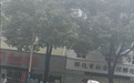 怀化交警一辅警早高峰背老人过马路感动全网 当事人回应