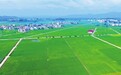 宁都县：秋日乡村画卷（图）