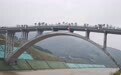 平陆运河上建起一座廊桥，只铺原生种植土，是野生动物的“VIP专属通道”