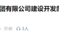 马鞍山一国企2人被查，其中1人系主动投案！