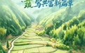 江西浮梁：盒马村里丰收忙 “蔬”写共富新篇章