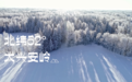 走近北纬52°大兴安岭，安喜莱溯源每日蓝莓花青素品质源头