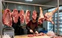 2026年常州市牛羊肉批发特惠供应商