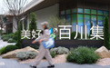 招商合肥社群之家连获政企共建授牌，美好合集BOX打造一公里社区生活样本