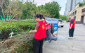 方寸网格焕新貌 绿治家园添“分”彩