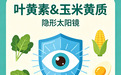 读懂6类护眼食物　给眼睛充足营养