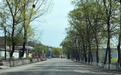 “精雕细琢”国道沿线　甘肃华亭出行路变风景路
