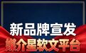 从选题策划到效果复盘 软文发稿平台哪家好 一站式服务发稿公司