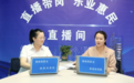 甘肃金塔织密就业服务网　群众家门口端稳幸福“饭碗”